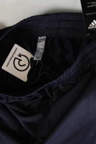 Pánské tepláky  Adidas, Velikost S, Barva Modrá, Cena  1 051,00 Kč