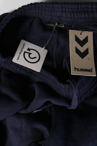 Ανδρικό αθλητικό παντελόνι Hummel, Μέγεθος M, Χρώμα Μπλέ, Τιμή 6,39 €