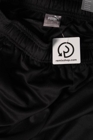 Herren Sporthose PUMA, Größe M, Farbe Schwarz, Preis € 35,96