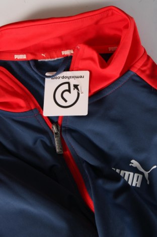 Męska bluza sportowa PUMA, Rozmiar XL, Kolor Kolorowy, Cena 153,53 zł