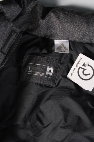 Ανδρικό μπουφάν Adidas, Μέγεθος L, Χρώμα Γκρί, Τιμή 72,28 €