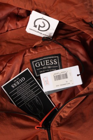 Ανδρικό μπουφάν Guess, Μέγεθος XL, Χρώμα Καφέ, Τιμή 118,10 €