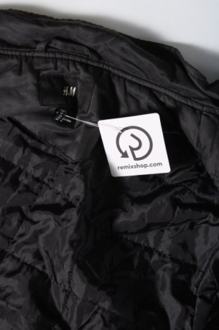 Pánska bunda  H&M, Veľkosť L, Farba Sivá, Cena  13,16 €