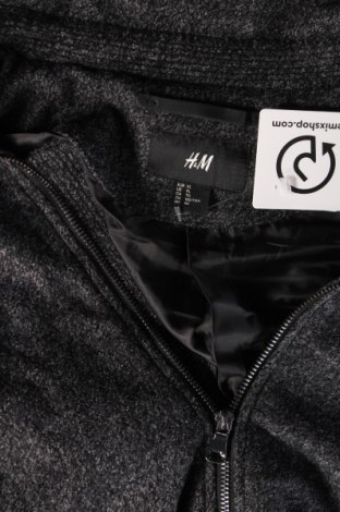 Pánska bunda  H&M, Veľkosť XL, Farba Sivá, Cena  13,16 €
