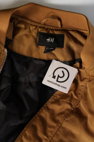 Pánska bunda  H&M, Veľkosť L, Farba Zelená, Cena  16,33 €