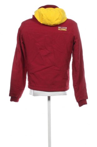 Herrenjacke Hollister, Größe M, Farbe Rot, Preis € 71,68