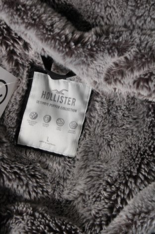 Ανδρικό μπουφάν Hollister, Μέγεθος L, Χρώμα Μαύρο, Τιμή 60,31 €