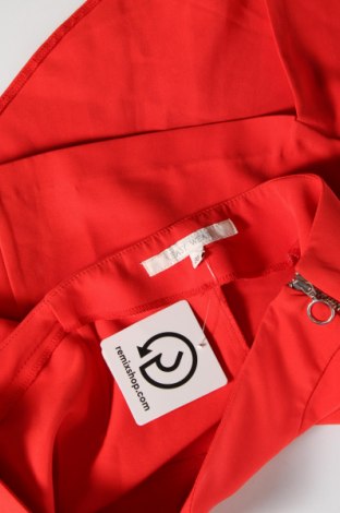 Φούστα Easy Wear, Μέγεθος S, Χρώμα Πορτοκαλί, Τιμή 14,28 €