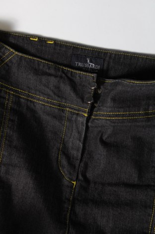 Φούστα Trussardi Jeans, Μέγεθος S, Χρώμα Μπλέ, Τιμή 34,69 €