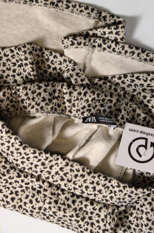 Φούστα Zara, Μέγεθος S, Χρώμα Πολύχρωμο, Τιμή 4,81 €