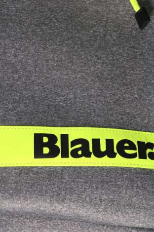 Σακίδιο πλάτης Blauer, Χρώμα Γκρί, Τιμή 72,68 €