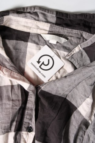 Shirt für Schwangere H&M Mama, Größe XL, Farbe Mehrfarbig, Preis € 6,79
