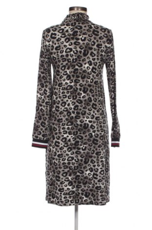 Kleid Aniston, Größe S, Farbe Mehrfarbig, Preis 12,33 €