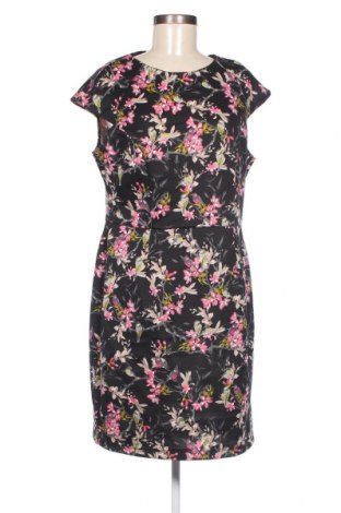 Kleid Dorothy Perkins, Größe XL, Farbe Mehrfarbig, Preis € 15,03