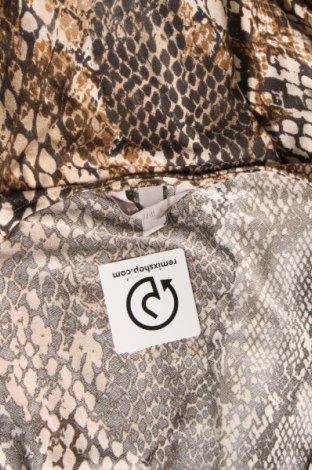 Kleid H&M, Größe XL, Farbe Mehrfarbig, Preis € 9,22