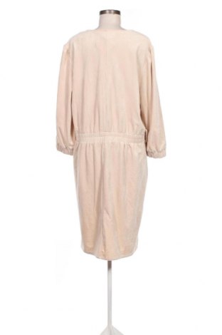 Kleid Ivy Beau, Größe XL, Farbe Ecru, Preis 9,35 €