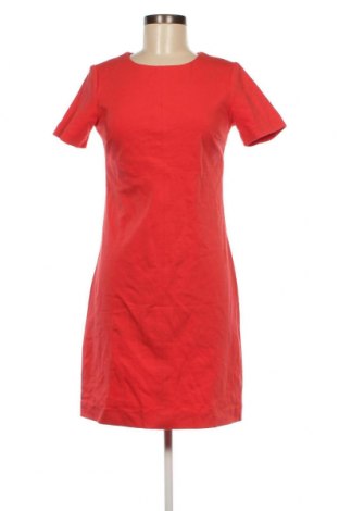 Kleid Kocca, Größe XS, Farbe Rot, Preis 27,96 €