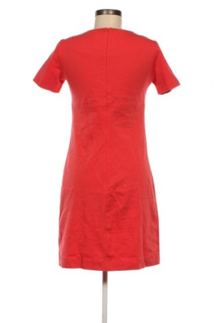 Kleid Kocca, Größe XS, Farbe Rot, Preis 26,25 €