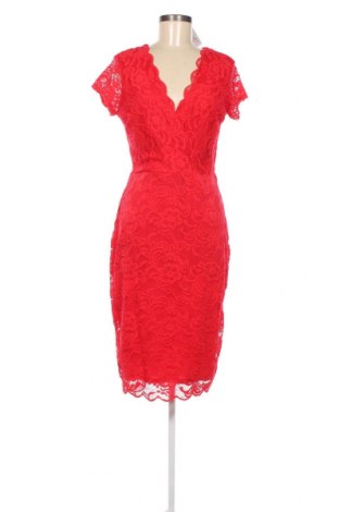 Kleid Lipsy London, Größe L, Farbe Rot, Preis € 26,37