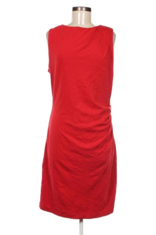 Kleid Mango, Größe XL, Farbe Rot, Preis 28,53 €