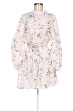 Kleid Oasis, Größe L, Farbe Mehrfarbig, Preis 55,67 €