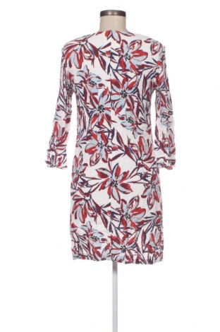 Φόρεμα Signe Nature, Μέγεθος M, Χρώμα Πολύχρωμο, Τιμή 17,94 €