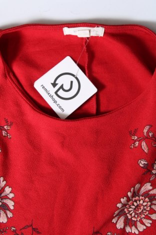 Kleid Springfield, Größe XL, Farbe Rot, Preis 14,66 €