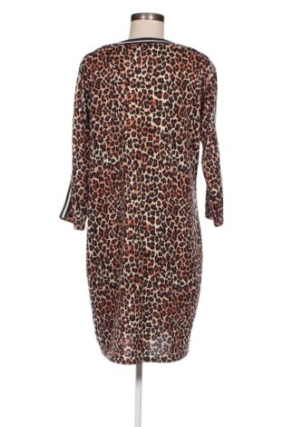 Kleid Zeeman, Größe XL, Farbe Mehrfarbig, Preis 7,06 €