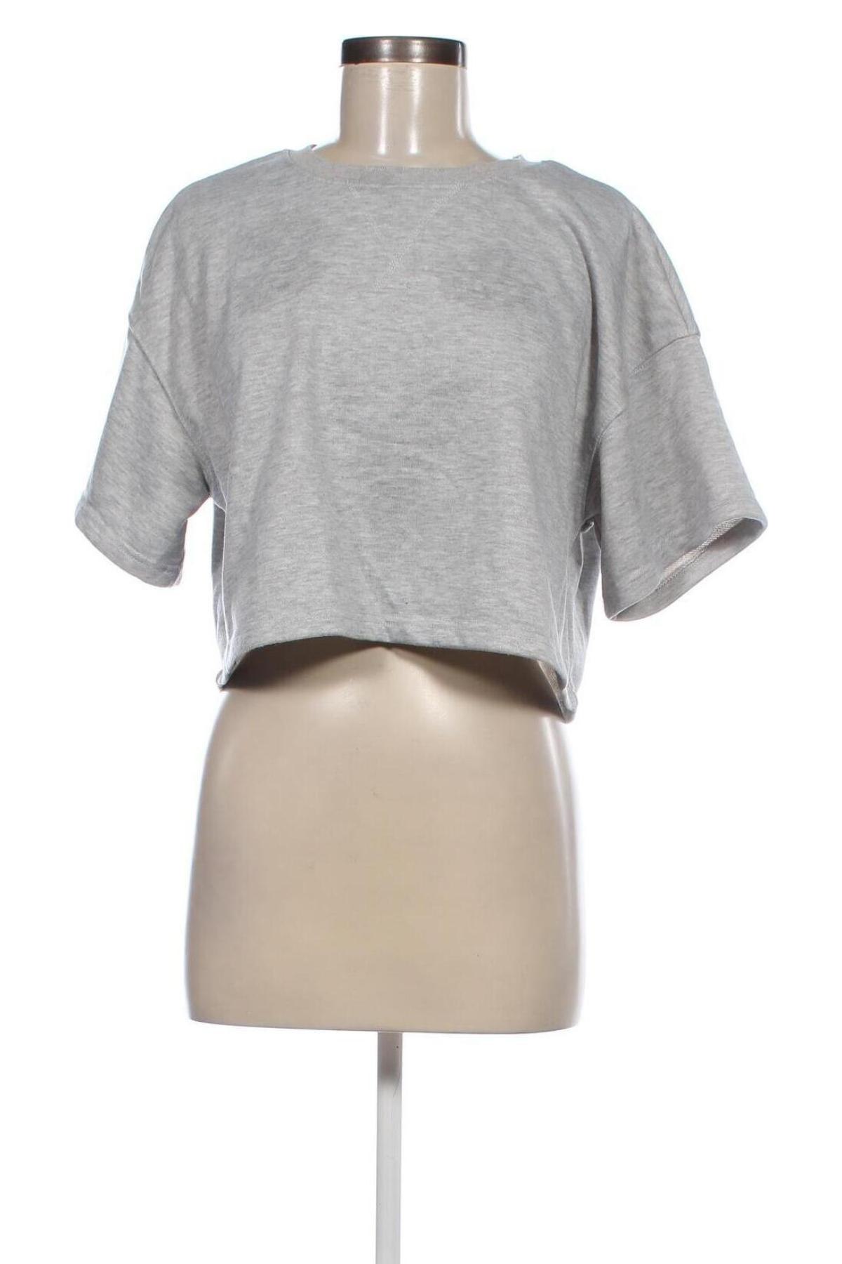Γυναικεία μπλούζα Cider, Μέγεθος XL, Χρώμα Γκρί, Τιμή 4,70 €