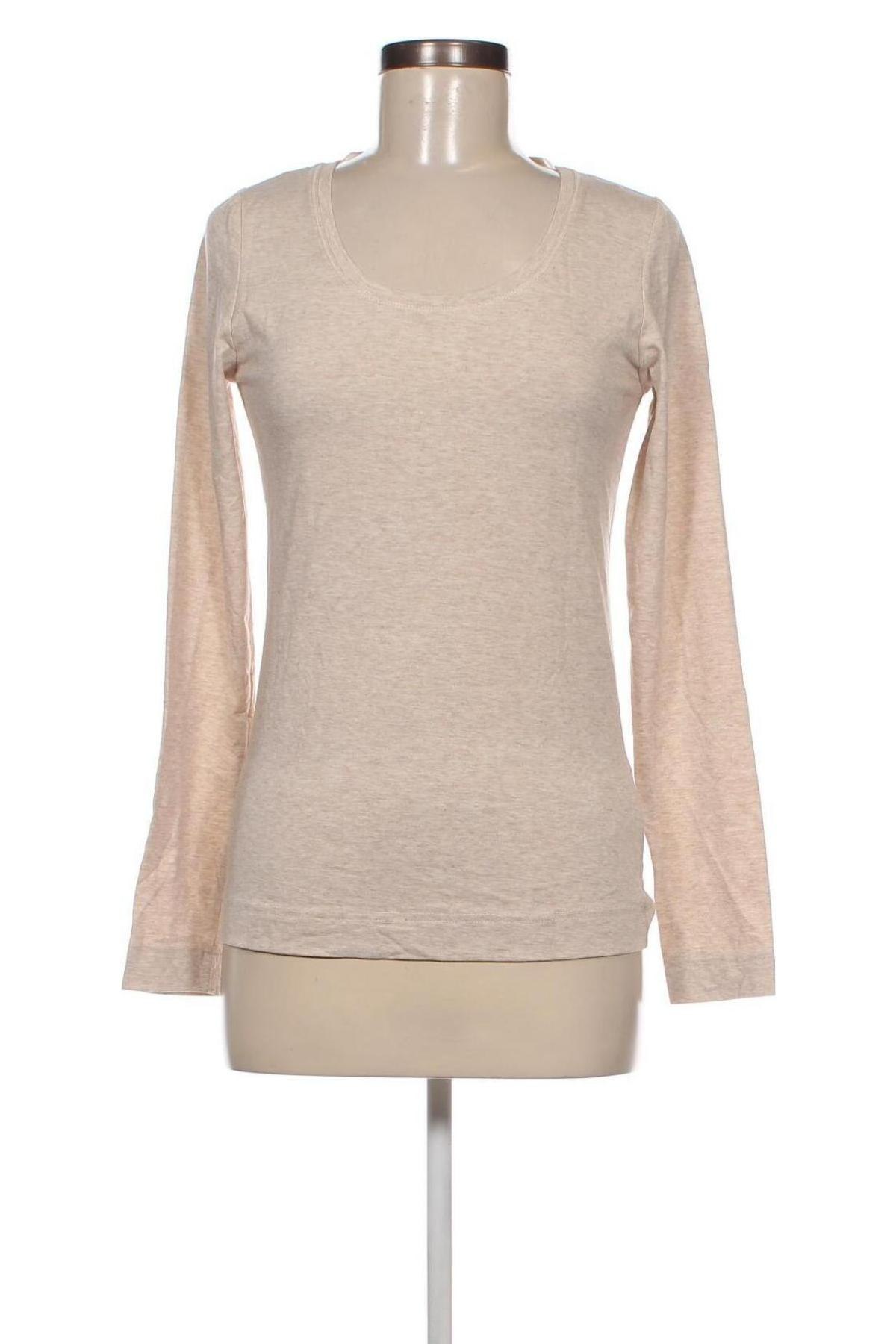 Damen Shirt Colours Of The World, Größe M, Farbe Beige, Preis € 2,64