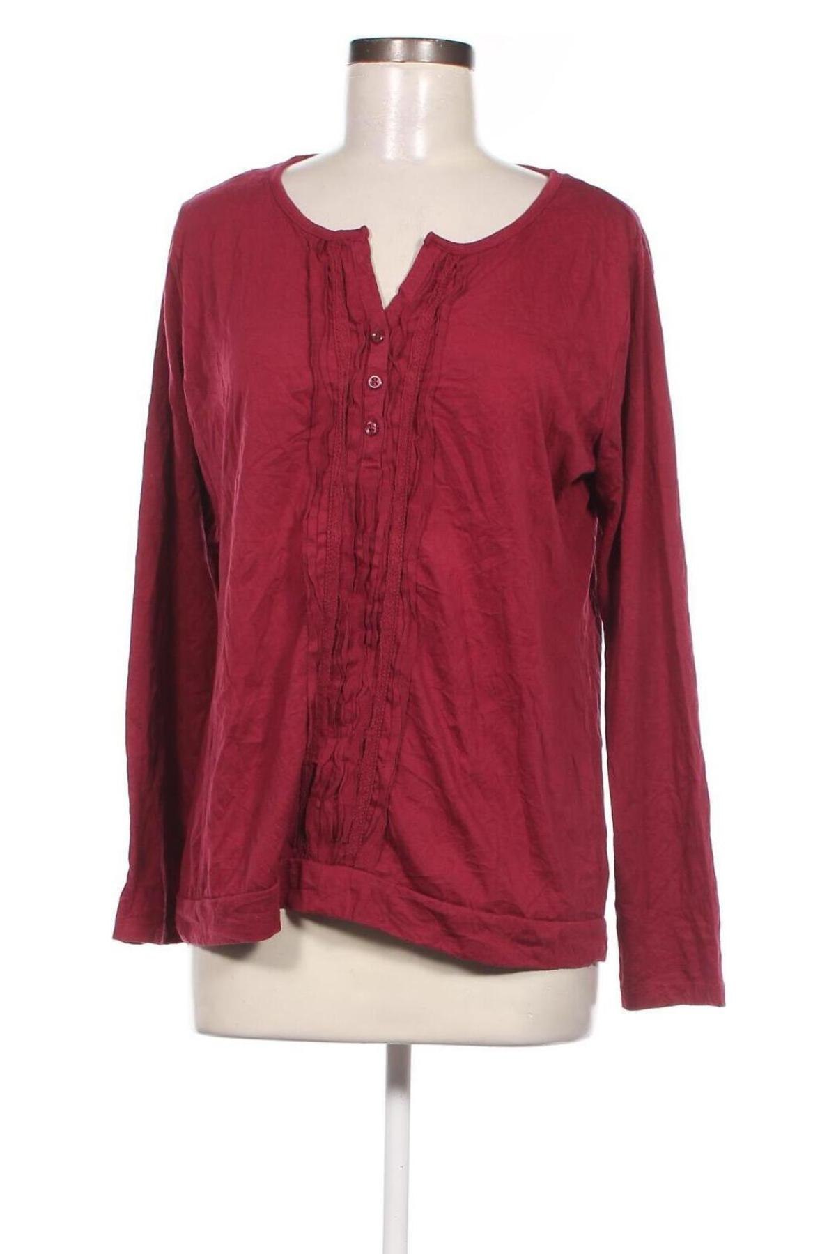 Damen Shirt Gina Benotti, Größe M, Farbe Lila, Preis 13,22 €