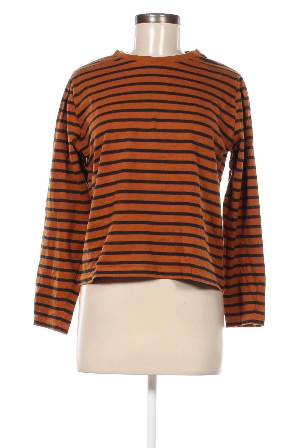 Damen Shirt Mango, Größe M, Farbe Braun, Preis € 4,99