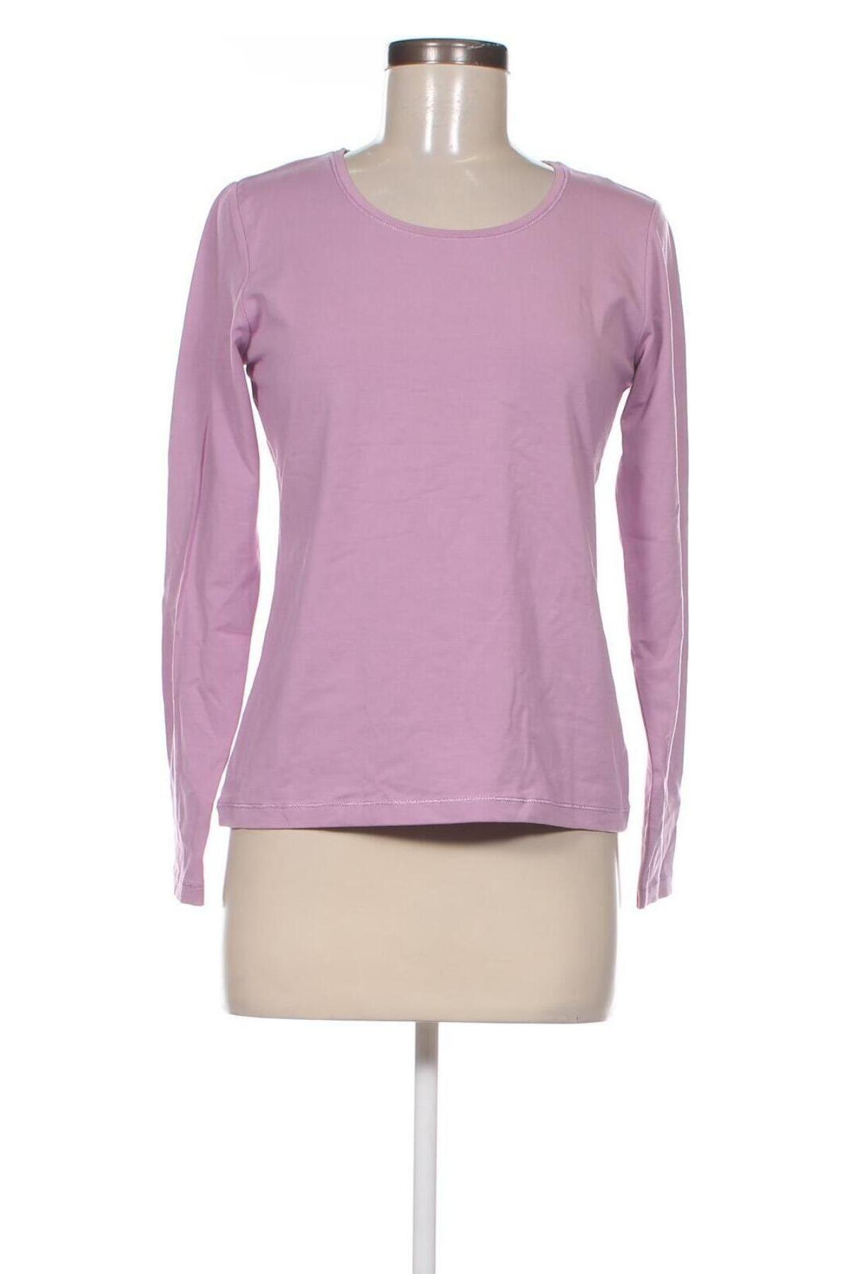 Γυναικεία μπλούζα Setter, Μέγεθος S, Χρώμα Βιολετί, Τιμή 11,75 €