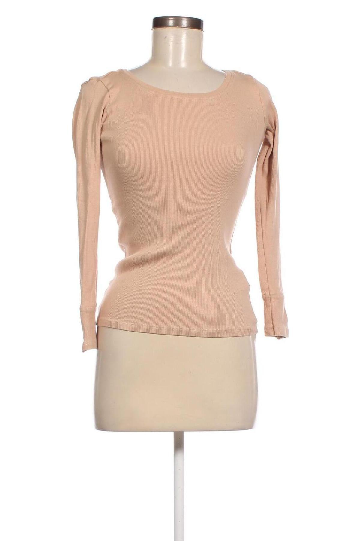 Damen Shirt Sinsay, Größe S, Farbe Beige, Preis € 4,67