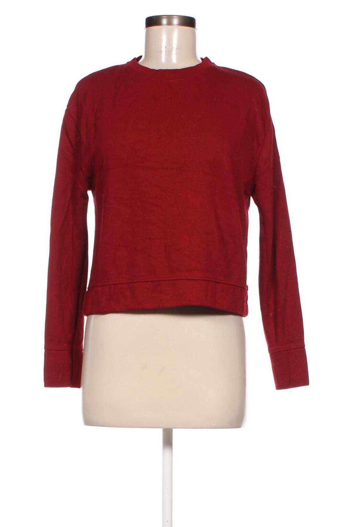 Damen Shirt Zara, Größe M, Farbe Rot, Preis 3,76 €