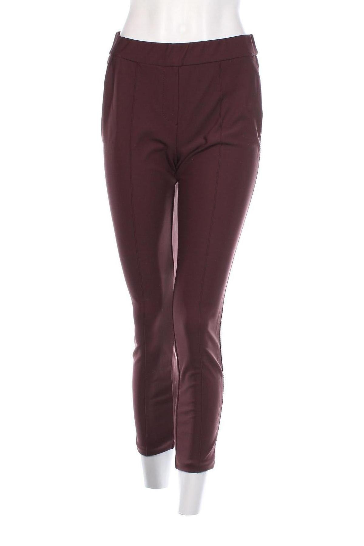 Damenhose Toni, Größe M, Farbe Lila, Preis 5,49 €