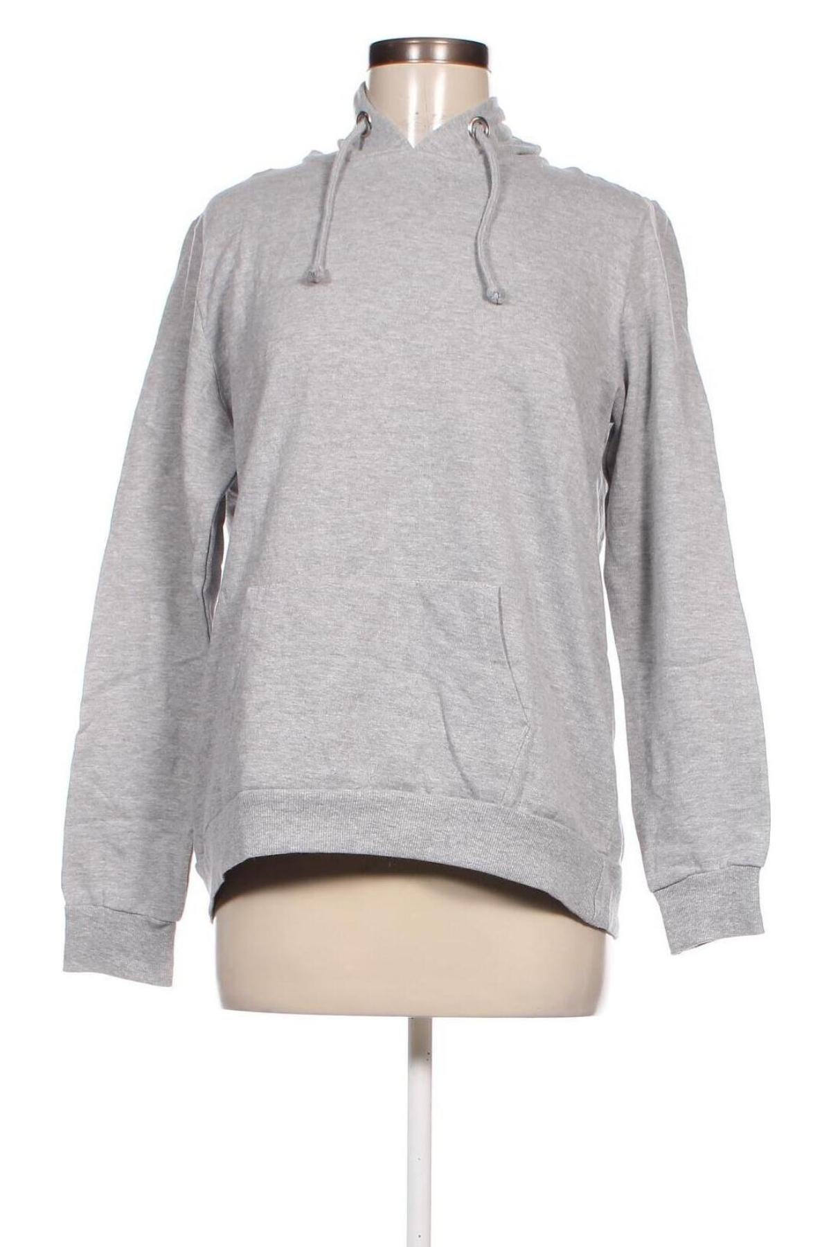 Damen Sweatshirt Janina, Größe XL, Farbe Grau, Preis € 6,79