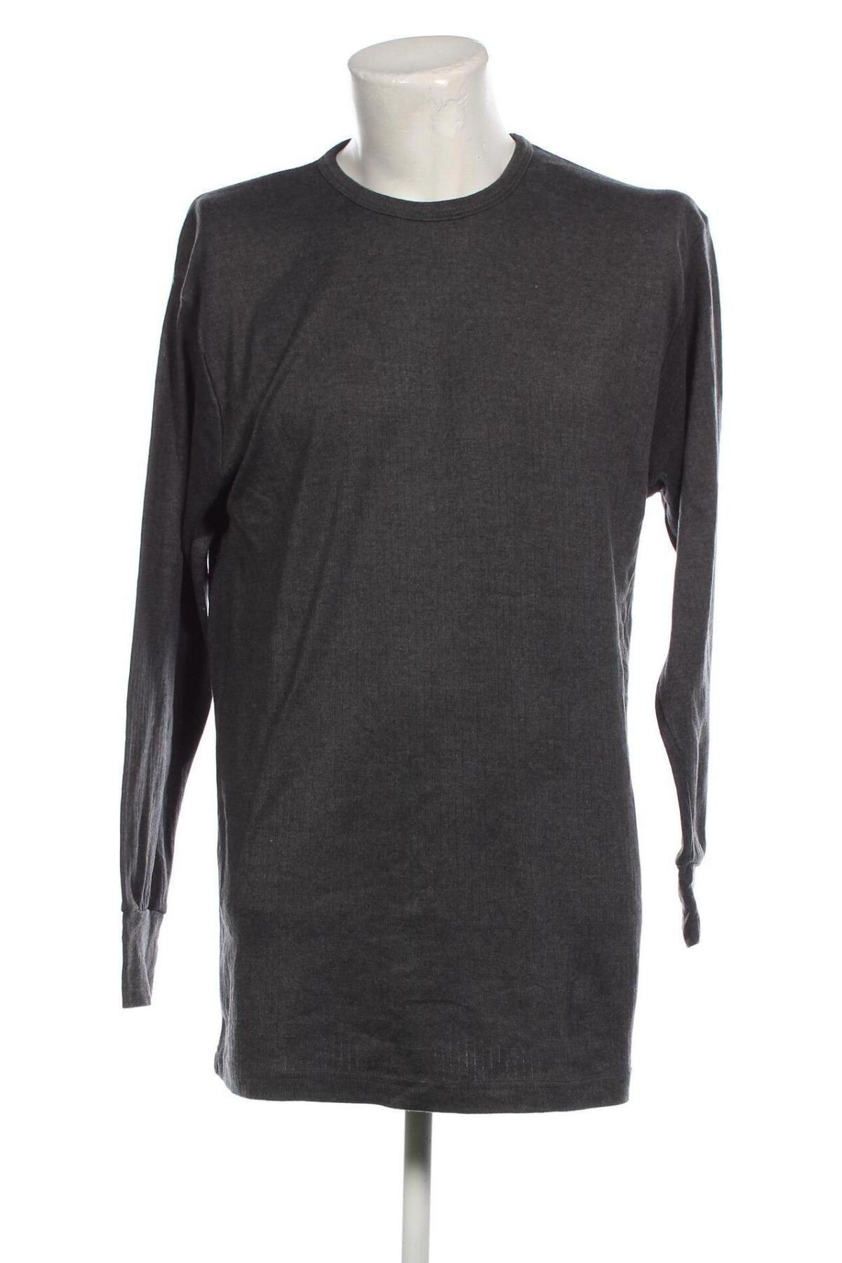 Ανδρική μπλούζα, Μέγεθος 3XL, Χρώμα Γκρί, Τιμή 8,23 €