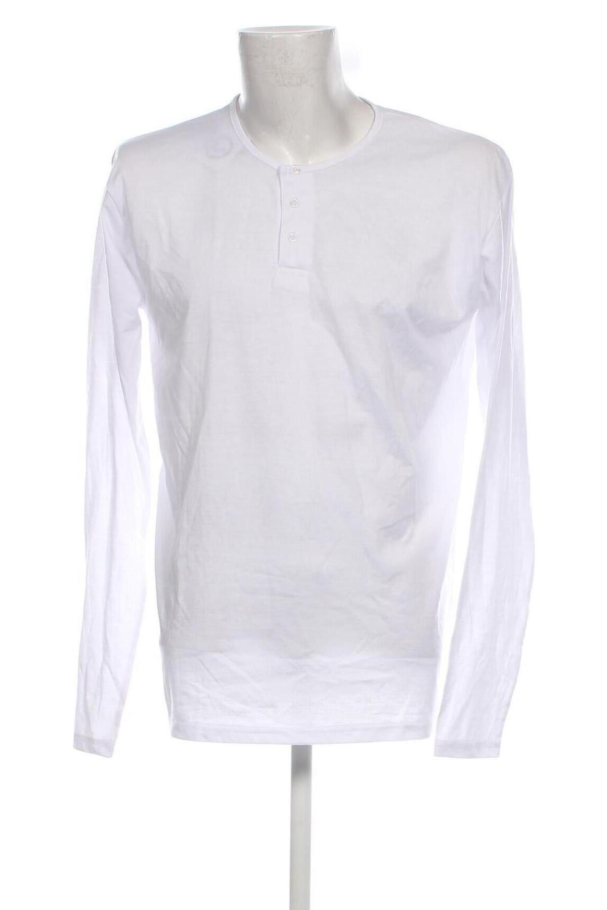 Herren Shirt, Größe L, Farbe Grün, Preis € 4,76