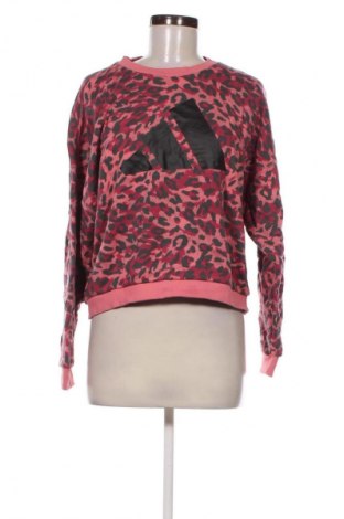 Damen Shirt Adidas, Größe L, Farbe Mehrfarbig, Preis 23,99 €