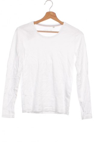 Damen Shirt Cecil, Größe XS, Farbe Weiß, Preis 23,99 €