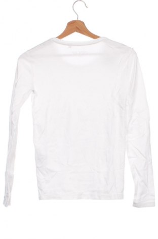 Damen Shirt Cecil, Größe XS, Farbe Weiß, Preis 23,99 €