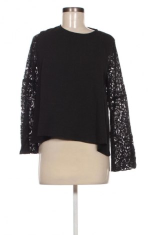 Damen Shirt Dorothy Perkins, Größe S, Farbe Schwarz, Preis 18,99 €