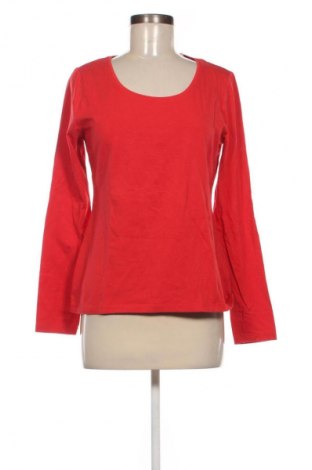 Damen Shirt Etam, Größe L, Farbe Rot, Preis € 23,99