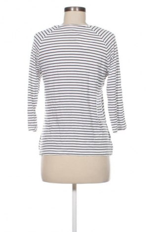 Dámska blúza Gina Laura, Veľkosť S, Farba Viacfarebná, Cena  19,95 €