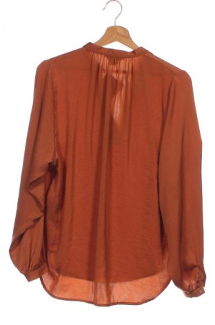 Damen Shirt H&M, Größe XS, Farbe Braun, Preis 13,99 €