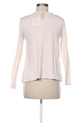 Damen Shirt Hallhuber, Größe M, Farbe Ecru, Preis 14,99 €