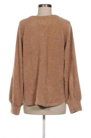 Dámska blúza Hollister, Veľkosť L, Farba Hnedá, Cena  8,95 €