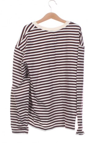 Bluzka damska Massimo Dutti, Rozmiar XS, Kolor Kolorowy, Cena 112,75 zł