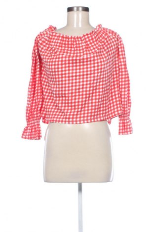 Damen Shirt Terranova, Größe L, Farbe Mehrfarbig, Preis € 9,74